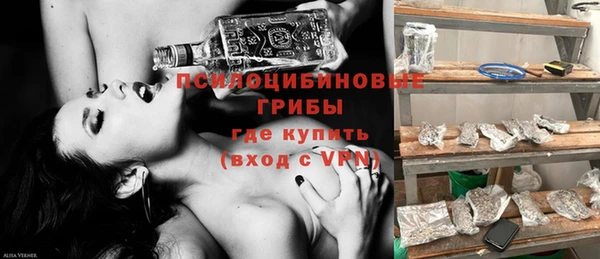 герыч Козельск